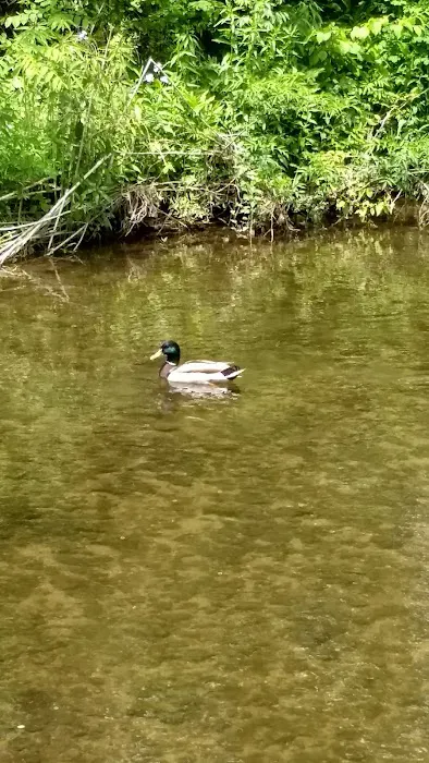 Lazy-K Campground Inc 4