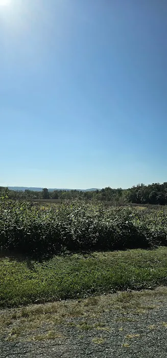 Valley View Estates Mobile Home 1