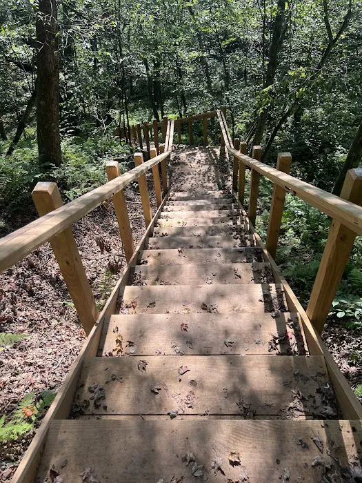 Pocono Camp & Glamp 1