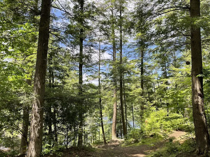 Fahnestock State Park Campground 6