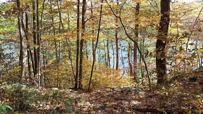 Fahnestock State Park Campground 5