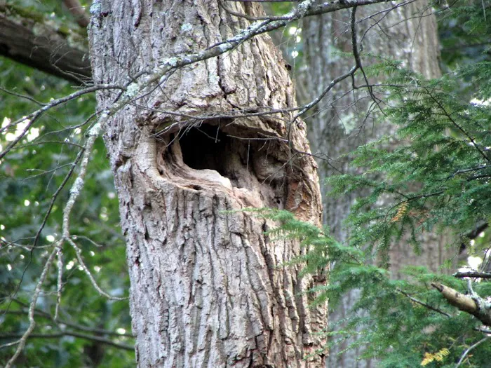 Fahnestock State Park Campground 0