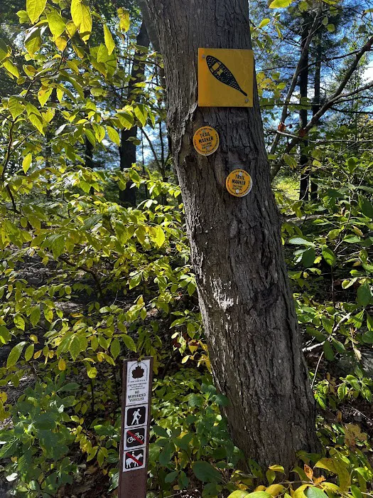 Fahnestock State Park Campground 4