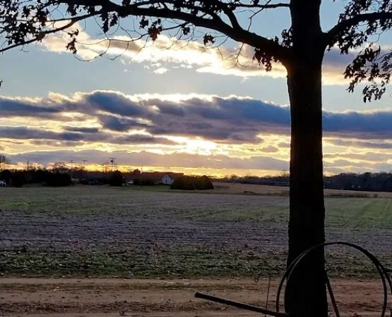 Holly Green Camping Grounds