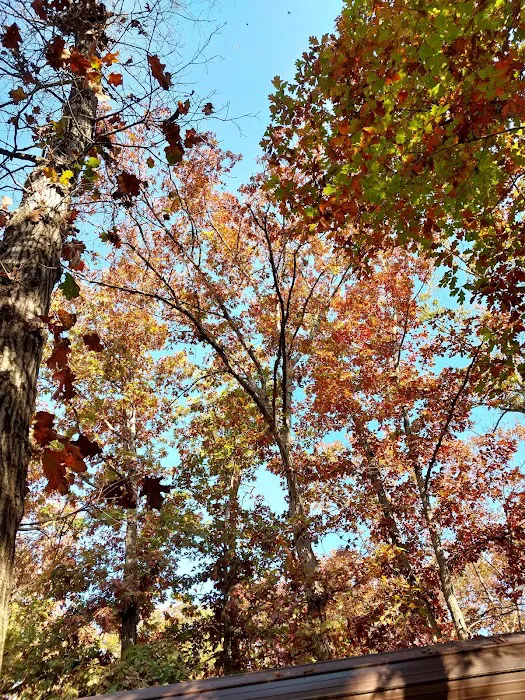 Holly Green Camping Grounds 6