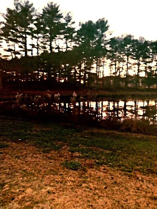 Holly Green Camping Grounds 9