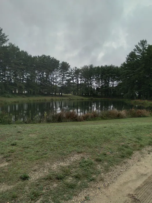 Holly Green Camping Grounds 1