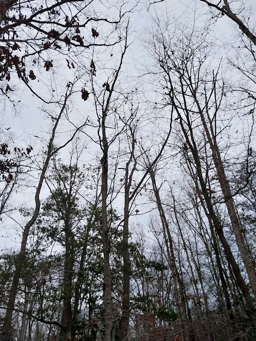 Holly Green Camping Grounds 8