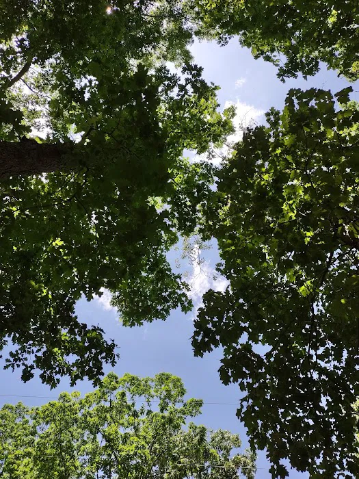 Holly Green Camping Grounds 4