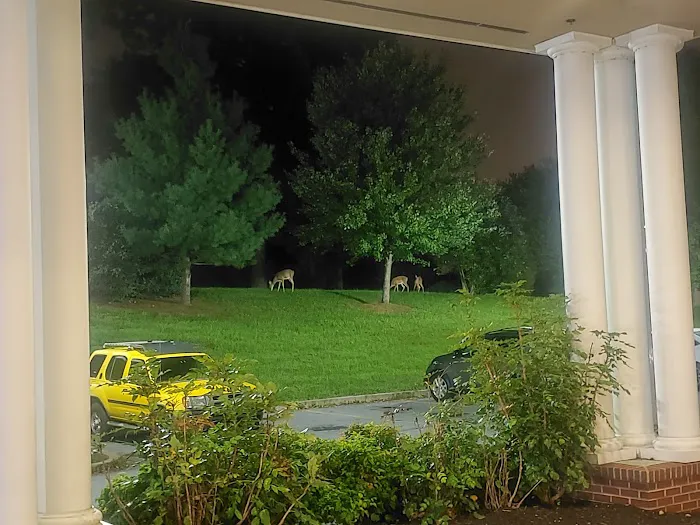 Bruce Wechsler Hall 4