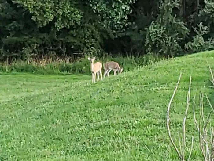 Bruce Wechsler Hall 3