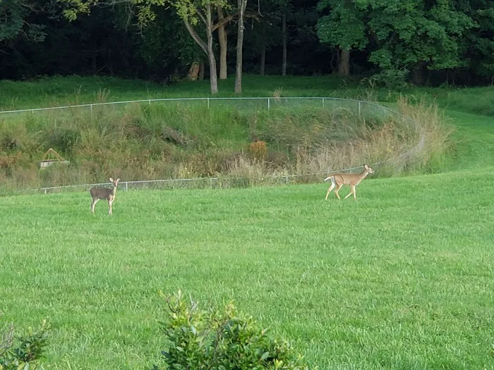 Bruce Wechsler Hall 5