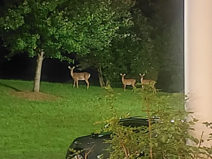 Bruce Wechsler Hall 1