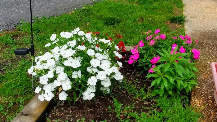 Delilah Terrace MHP 1