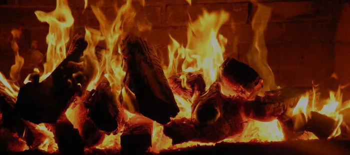 Oldman's Creek Campground 9