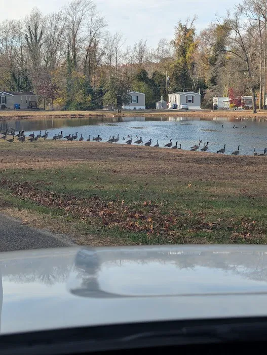 Laux Lakeview Park 2