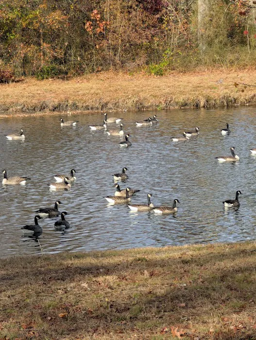 Laux Lakeview Park 5