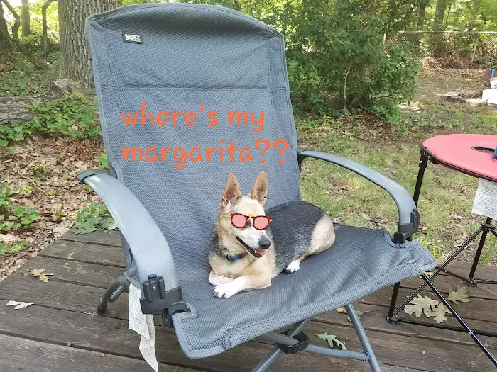 Lot E 2 White Oaks Area within Buena Vista Campground and Resort 0