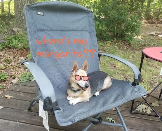 Lot E 2 White Oaks Area within Buena Vista Campground and Resort