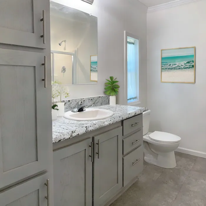 Chapman Manufactured Housing 3