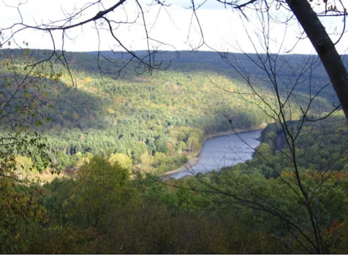 Sylvania Tree Farm 4