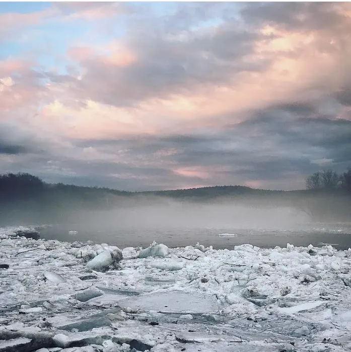 Sylvania Tree Farm 1