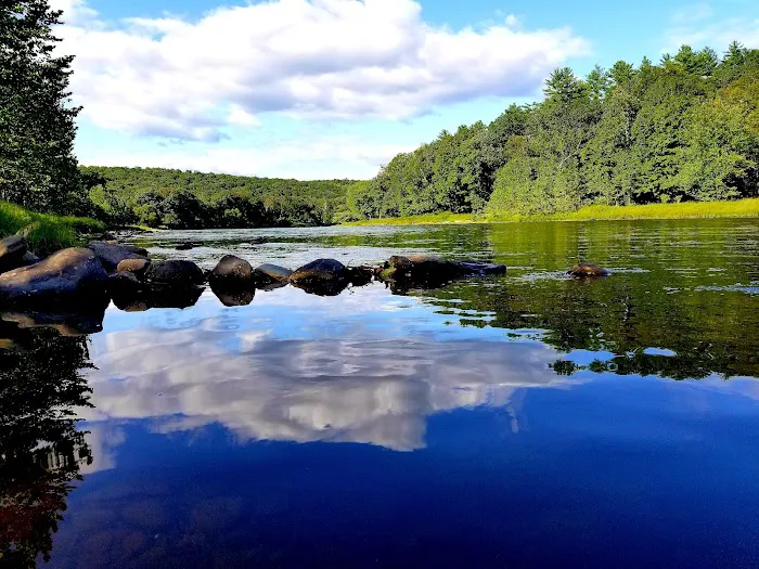 Sylvania Tree Farm 3