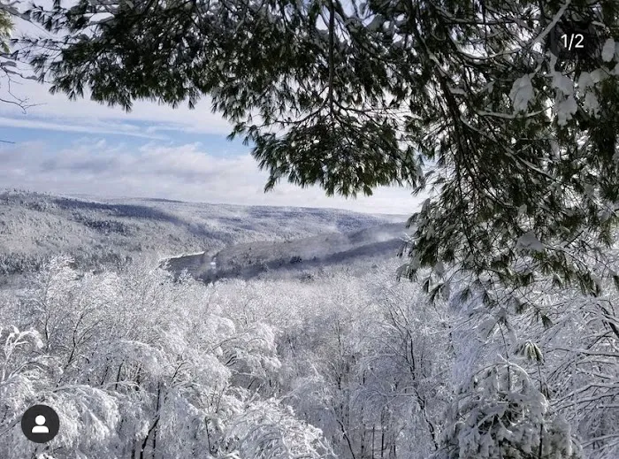 Sylvania Tree Farm 7