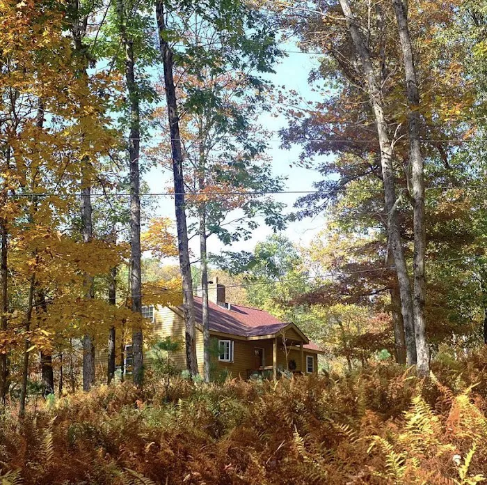 Sylvania Tree Farm 9