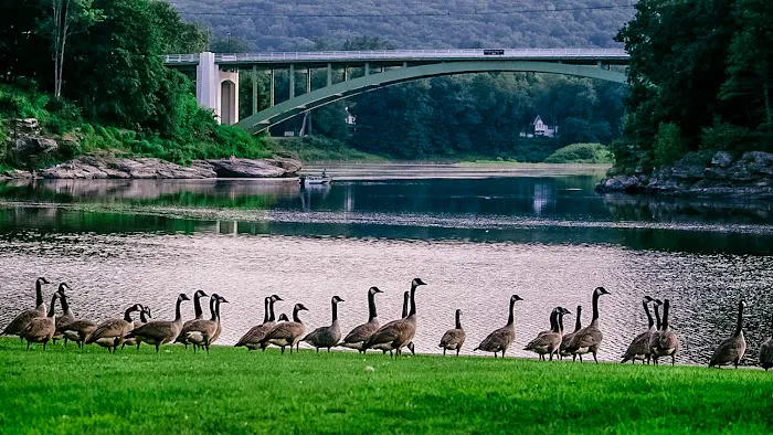 Narrowsburg Campground (Lander's River Trips) 2