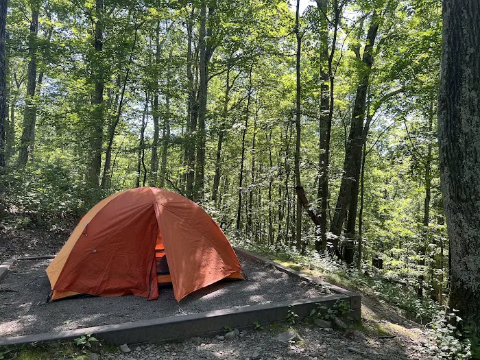 Samuel F. Pryor III Shawangunk Gateway Campground 2
