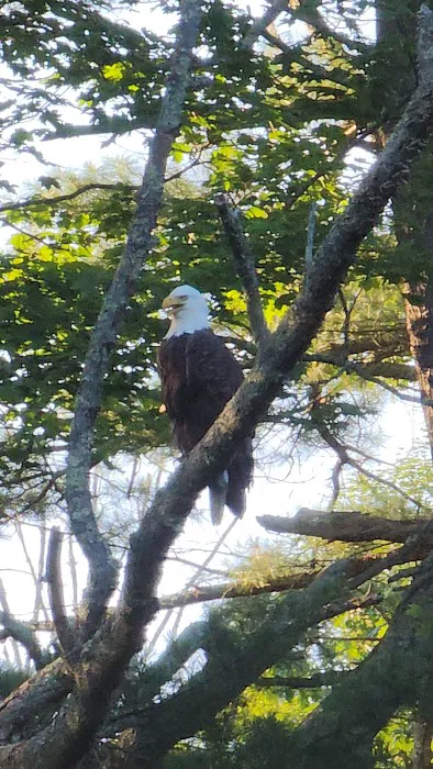 Neversink Sanctuary 0