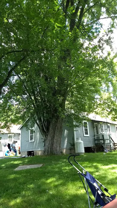 Charlies Lakeside Colony 1