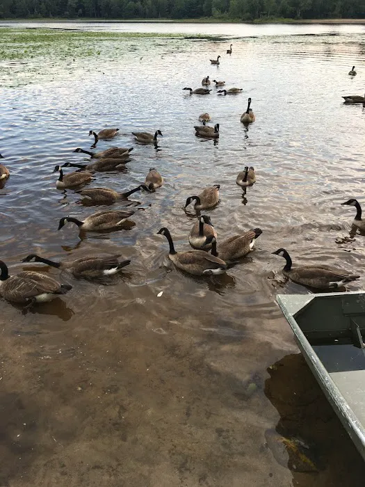 Charlies Lakeside Colony 2