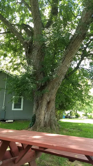 Charlies Lakeside Colony 6