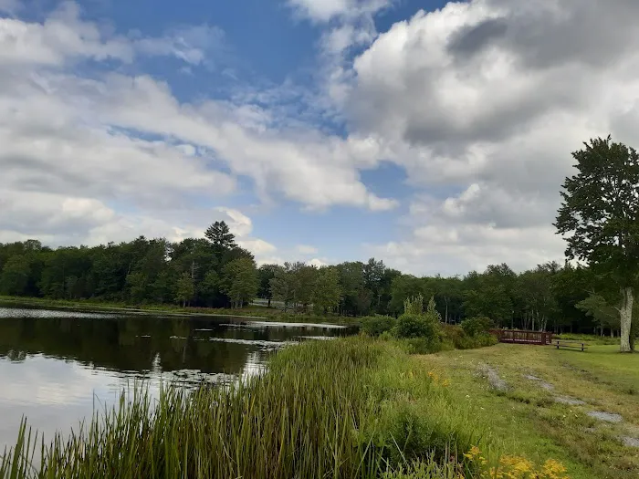 Morningside Park Campground 8