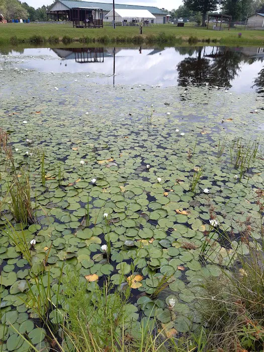 Morningside Park Campground 9