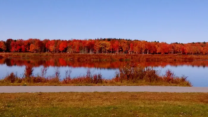 Morningside Park Campground 3
