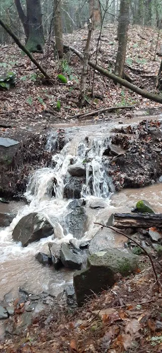 The Camp at Twin Creeks 2