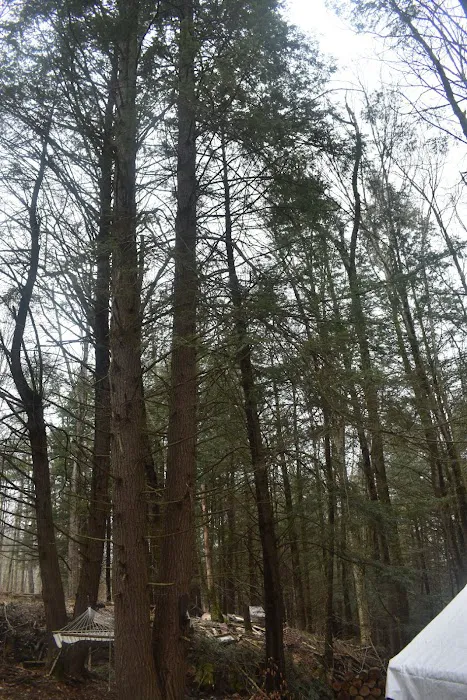 The Camp at Twin Creeks 3