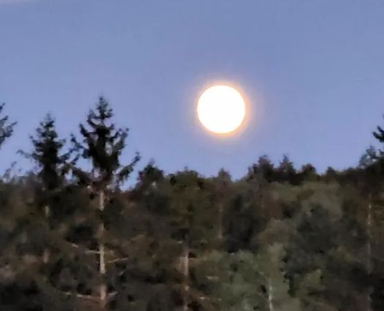 Eretz HaChaim Czernowitz