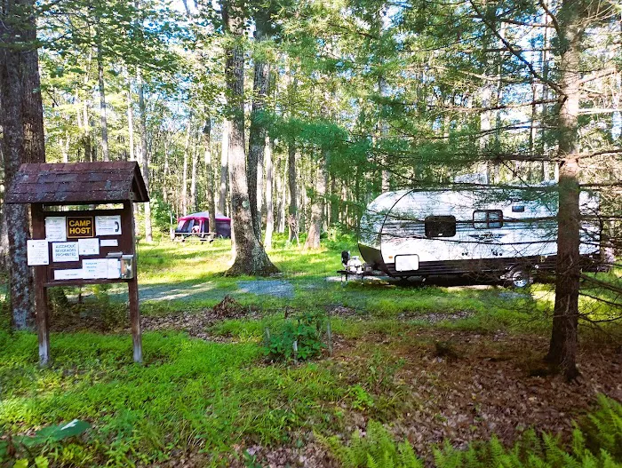 Pines Campground 2