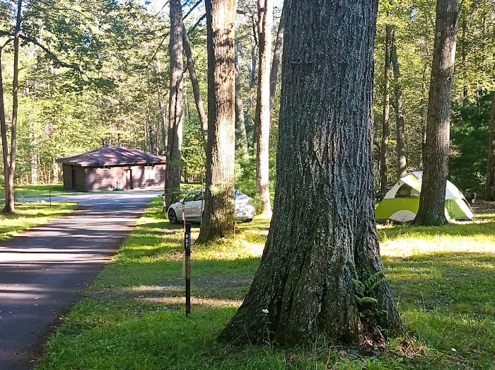Pines Campground 1