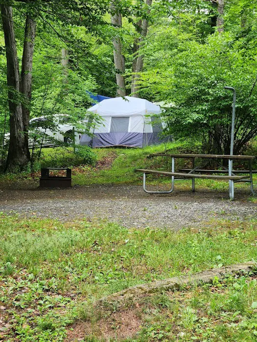 Northwoods campground 6