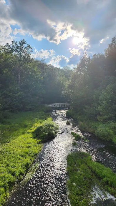 Promised Land State Park Beechwood Camping Area 0