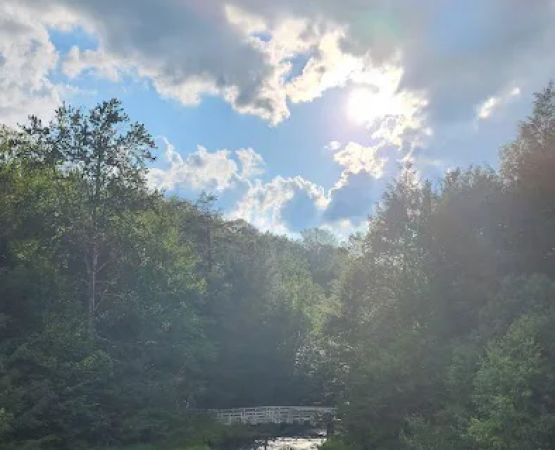 Promised Land State Park Beechwood Camping Area