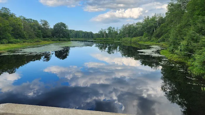 Promised Land State Park Beechwood Camping Area 7