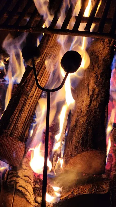 Promised Land State Park Beechwood Camping Area 1