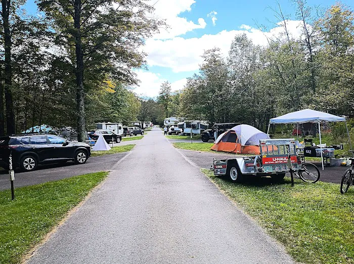 Promised Land State Park Beechwood Camping Area 3