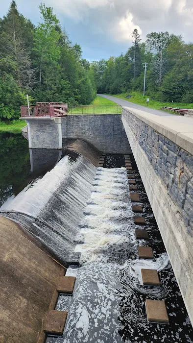 Promised Land State Park Beechwood Camping Area 9